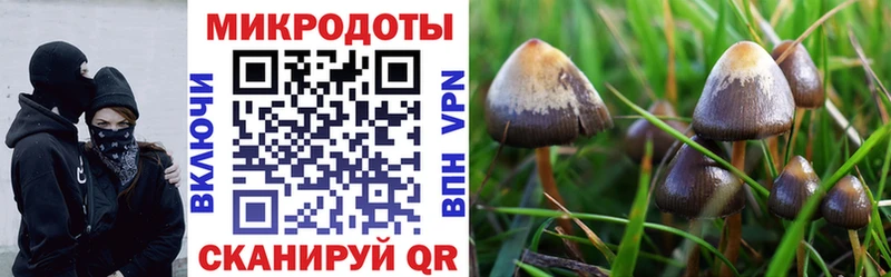 что такое наркотик  Калининск  Галлюциногенные грибы прущие грибы 