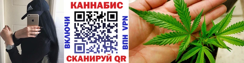 где найти наркотики  Калининск  Бошки марихуана конопля 